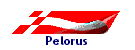 Pelorus