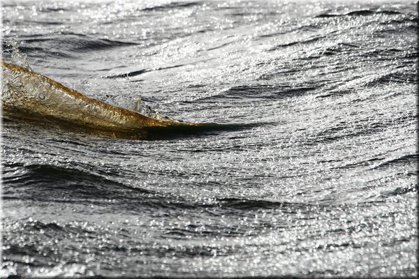 Fotograf: Hans-Dieter Pfabe