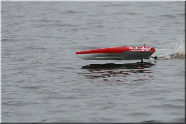 Fotograf: Hans-Dieter Pfabe